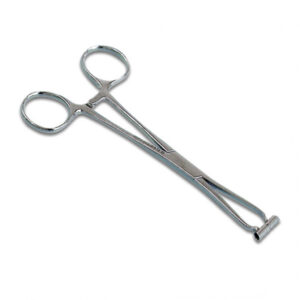 Forcipi Septum Curved In Acciaio Inox Open Tattoo Supply
